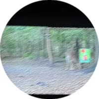 video.mp4