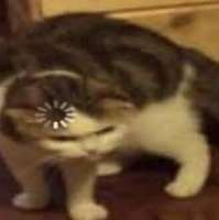 1535318314760.png