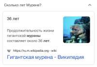 62151779-1466-4419-8910-D36655302956.jpeg