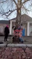 16516039997610.mp4
