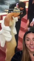 @catquinn=62e0e6.mp4