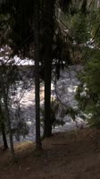 IMG0949.MOV