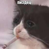 images-108.jpeg