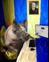 0E19906C-9A26-4EC7-874A-3A7AC5C0EDB6.jpeg
