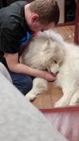 video2022-05-1804-57-00.mp4