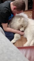video2022-05-1804-57-00.mp4