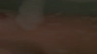 IMG0393.mov