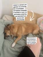 16530572897210.png