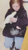 video.mp4