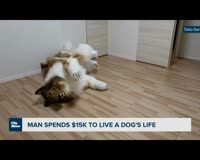 IMG4694.MOV