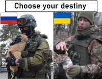 16471650152200.png