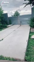 16542931380231.webm