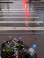 IMG20220604162849671.jpg