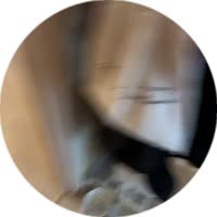 2.mp4