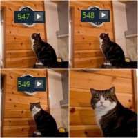k5z37koCeo.jpg