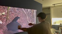 167217237480871158.mp4