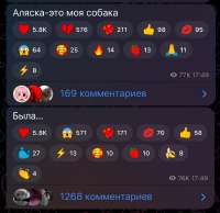 16723292905956814.jpg