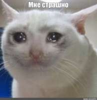 4b06f3b7c23e078e87db487ef166addf.jpg