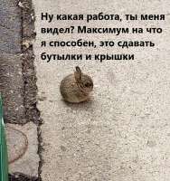 2022-06-20 11.50.39.jpg