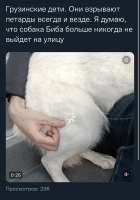 7B7A5243-A75E-4FD0-AFC1-65F185AFA5FC.jpeg