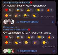 167249422260829072.jpg