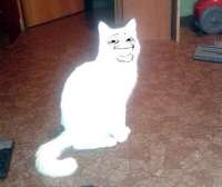 16248153832920.png