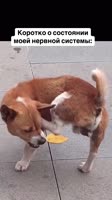KVnrCDhs6iS0mUV5hmQ4GbtY.mp4