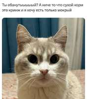 IMG20250603230547271.jpg