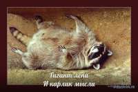 IMG20250602232340258.jpg