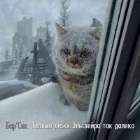 IMG20250602172757258.png