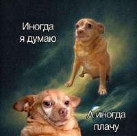 IMG20250606113624847.jpg