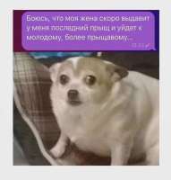 cZlgXTlPgwU.jpg