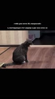 bKfWmUyYK4nwVWDjXLYTA.mp4
