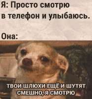 17510531920480.jpg