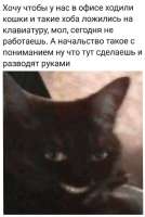 17510544491320.jpg