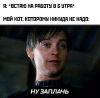 17510454043202.jpg
