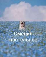 85dbd3c9bc3a46af4a00c3d6d778dc82.jpg