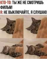 17536851271210.jpg