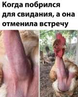 17537024834402.jpg