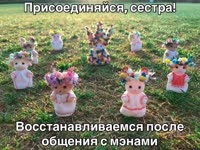 VID20250819000616472.mp4