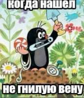 a22d14d9d7c53fdfed8a0aef530cbf82.jpg