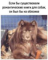 3roXwXX9hB4ZfTC4I0otlVtKk3TGYDhxu30ojlZgrwRWHJxn5DM6W4qXg1Oqiu74qTJthX7w0YqKq-EKVgT.jpg