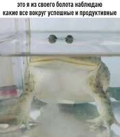 LLSlu9ngtUBDGDd6iOzEALOnlfaMC-gmI-0Sm5cjsHe3wetdjRmSsJYxvqfldTAdaZRnMvrxrCmS7yfYp2h0XQUT.jpg