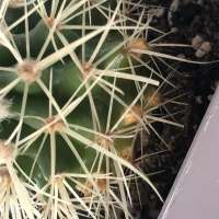 IMG8340.jpeg
