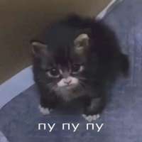 1752838439892.webp