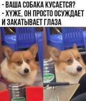 6536626943466.jpg