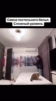 GodkTC9kyZgIYPaoOAbfKkwMQt0p4.mp4