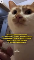 bjpummzdeyEUVerIQbj2x4JG1Q.mp4