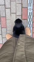 39Cp24lviy2njL6zziNjyaxRZ5rFc.mp4