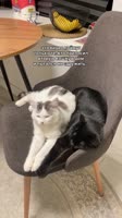 HPTrjqagcWgUz9rv1mwUpmY.mp4